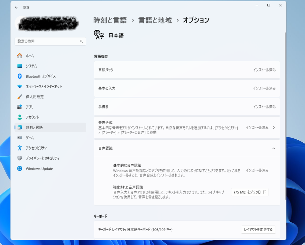 Windows 11の日本語の言語オプション画面