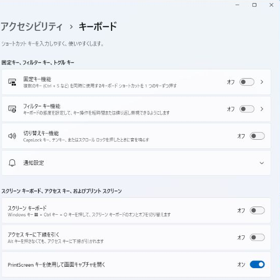 Windows 11のアクセシビリティキーボード設定で固定キーとフィルターキーを確認する画面